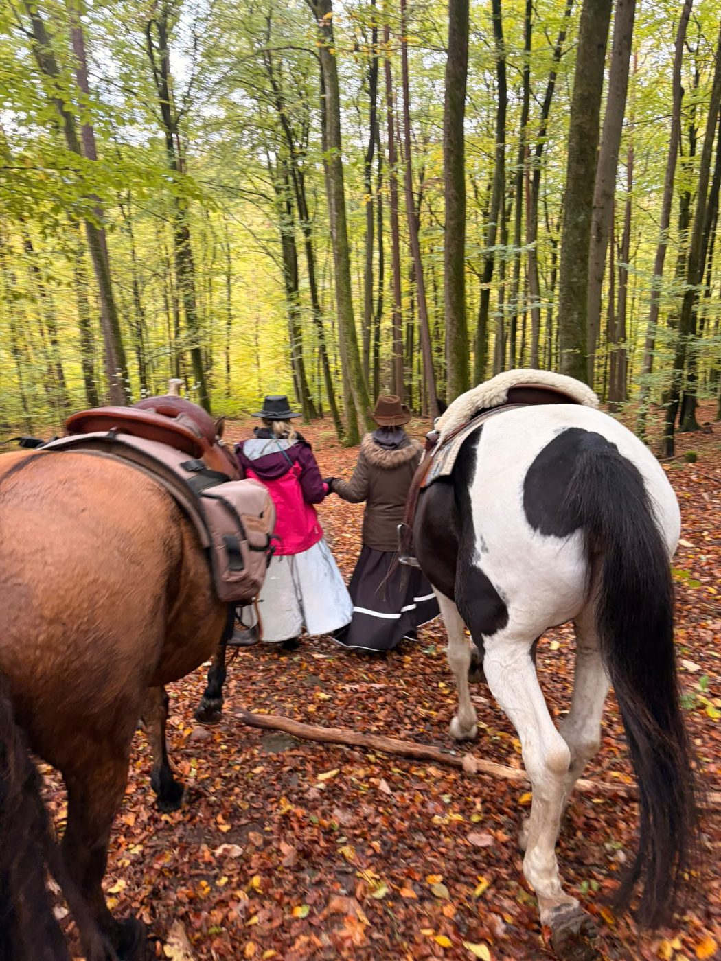 Anja und Barbara gehen Hand in Hand mit ihren Pferden durch den Herbstwald