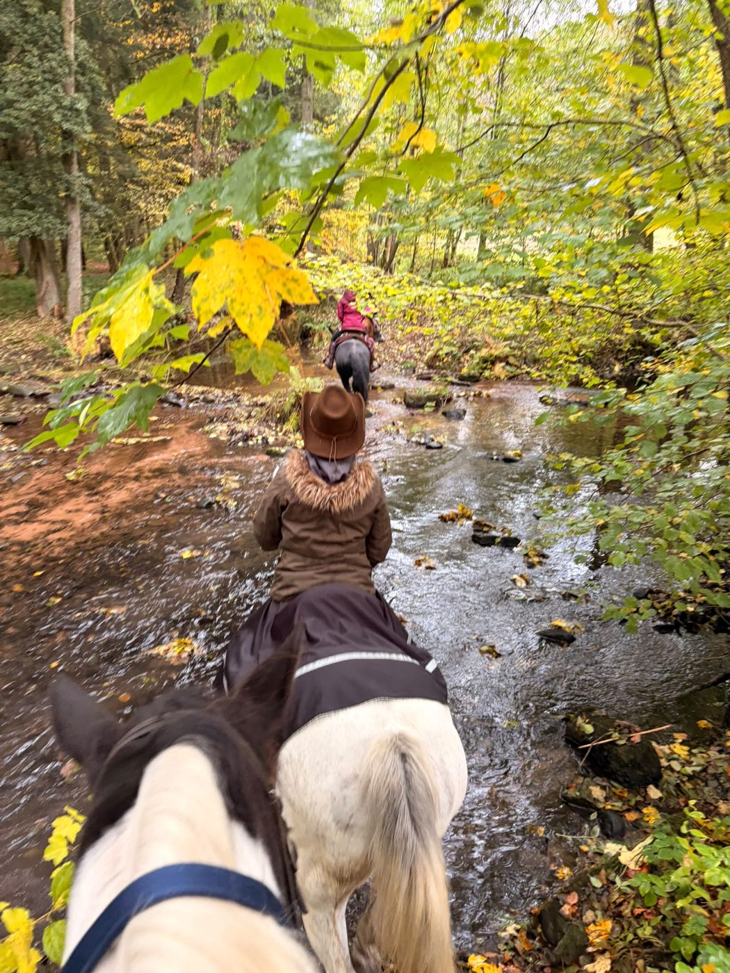 Mit Barbara durch einen Bach im herbstlichen Spessart